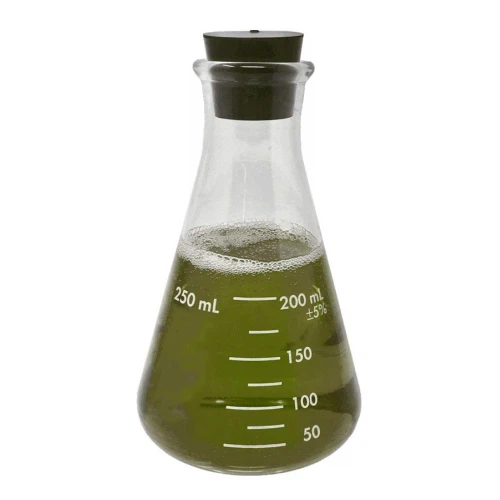 Flat Bottom Conical Flask