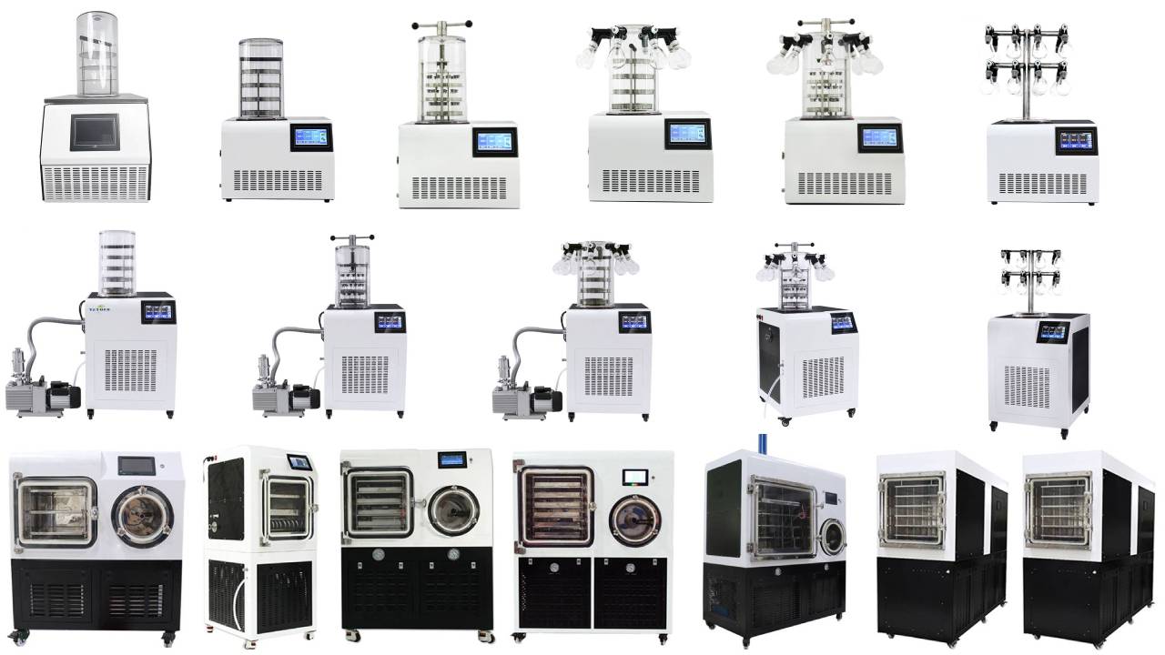 freeze dry machine for breast milk | Shaanxi Achieve chem-tech freeze dry machine for breast milk | Shaanxi Achieve chem-tech